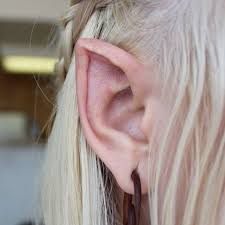 Image result for ear mod