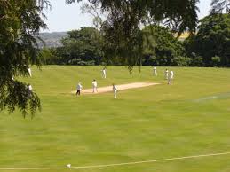Image result for Blagdon Cricket Club