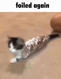 Image result for Foiled Again