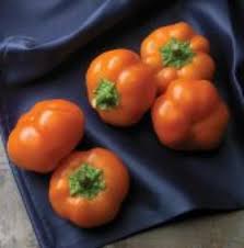 Afbeeldingsresultaat voor hungarian sweet white sweet pepper