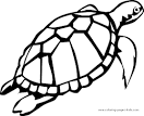 Sea Turtle coloring page