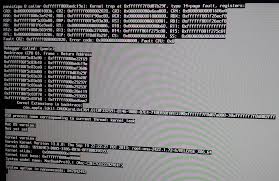 Image result for kernel panic snow leopard