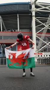 Image result for Cardiff Cobras