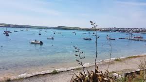 Image result for BigBlueSurfSchool