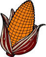 Corn ClipArt Thanksgiving Day Corn clip art graphics