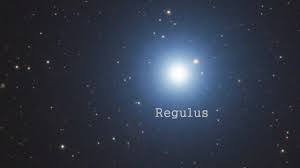 Attēlu rezultāti vaicājumam “Regulus regulus”
