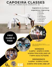 Image result for Capoeira Classes