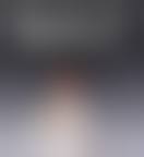 Image result for RealDoll