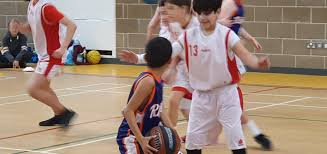 Image result for Cambridge Cats Basketball Club