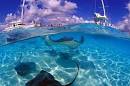 Grand Cayman Diving And Other Attractions - eTravelTrips Blog