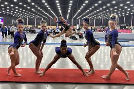 Image result for Epping Forest Elite Gymnastics Club