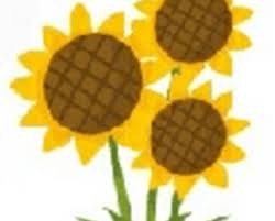 Image result for Torbay Olympic Gymnastics Club