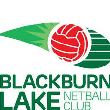 Image result for Airborne Ladies Netball Club