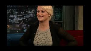 Image result for Bugaboo Cameleon Amy Poehler