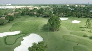 Image result for Dolphina Gc