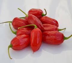 Afbeeldingsresultaat voor red fratali hot pepper