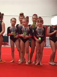 Image result for North Devon Display Gymnastics Club