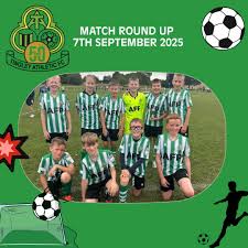 Image result for Tingley Athletic