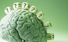 Image result for seotonie