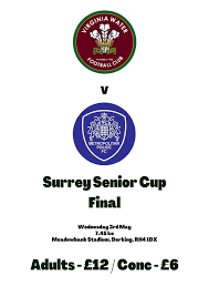 Image result for Virginia Water Fc