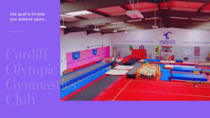 Image result for Cardiff Olympic Gymnastics Club