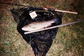 Image result for Weybridge Angling