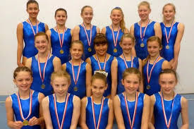 Image result for Hinckley Gymnastics Club