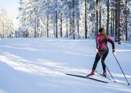 Image result for Scandinavian slope and cross country skiing