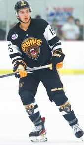 Image result for Stratford-Upon-Avon Hockey Club