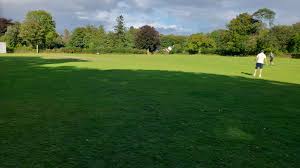 Image result for Yelverton Bohemians Cricket Club