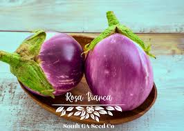 Afbeeldingsresultaat voor rosa bianca eggplant