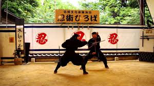 Image result for Hertfordshire Iga Ryu Ninjutsu