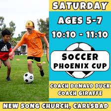 Image result for Phoenix Youth Sc