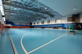 Image result for Sports Centre Netball