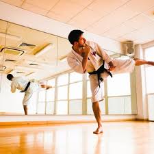 Image result for Harrow Shorinji Kempo
