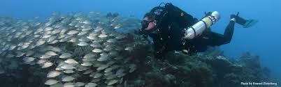 Image result for innerspace divers