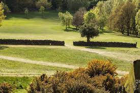 Image result for Charnwood Forest Golf Club