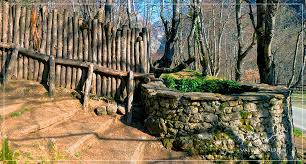 「parque los chor」の画像検索結果