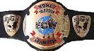 WWETITLES::..