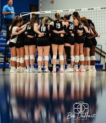 Image result for York University Volleyball Club