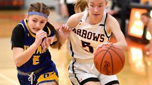 Image result for Arrows Basketball Club