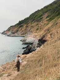 「花咲めぐみ ぼくのなつやすみ3」の画像検索結果