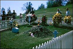 Image result for Graves Flames