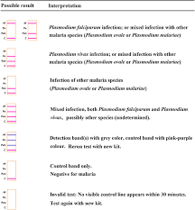 Attēlu rezultāti vaicājumam “undetermined plasmodium”