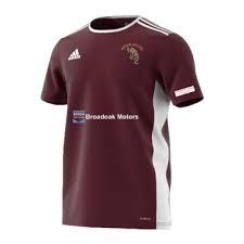 Image result for North Perrott Cc