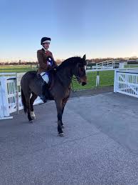 Image result for Lakes Riding Club