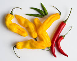 Afbeeldingsresultaat voor aji habanero hot pepper