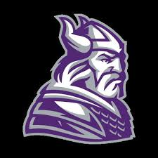 Image result for North East Vikings