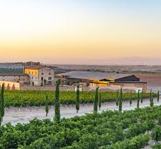 Image result for purgatori