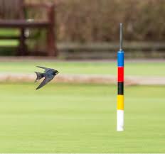 Image result for BUDLEIGH SALTERTON CROQUET CLUB